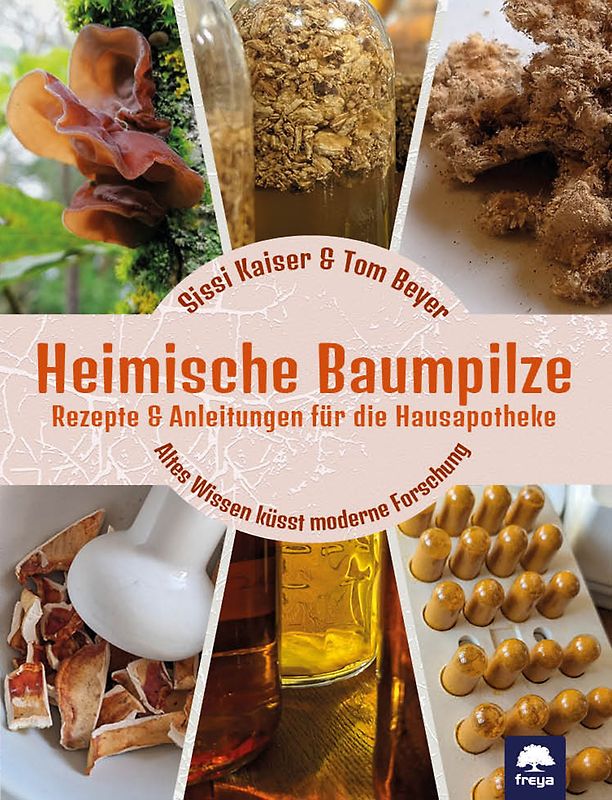 Heimische Baumpilze