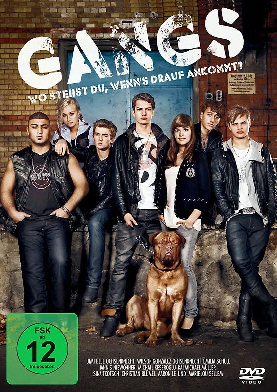 Gangs - Wo stehst du, wenn's drauf ankommt? DVD