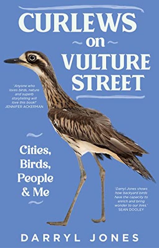 Curlews on Vulture Street