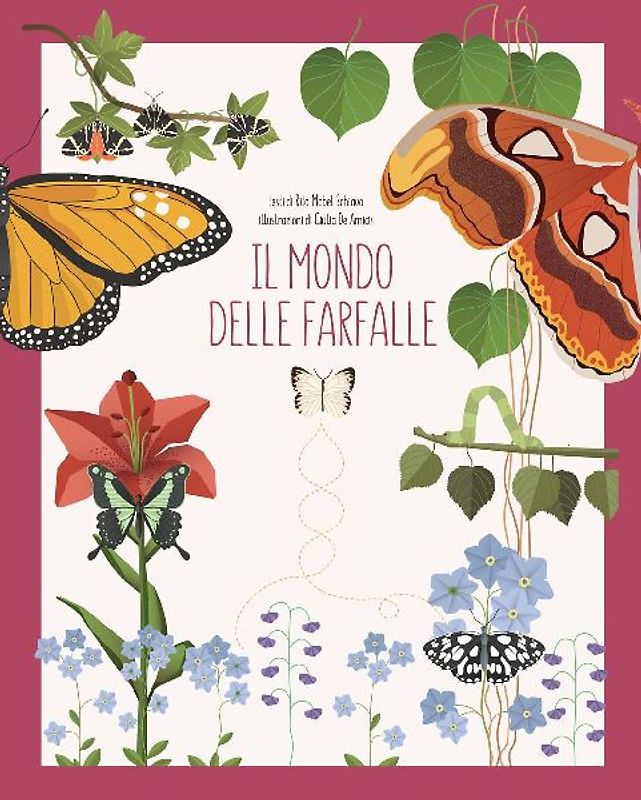 Il mondo delle farfalle