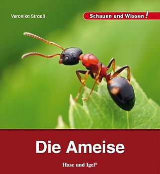 Die Ameise