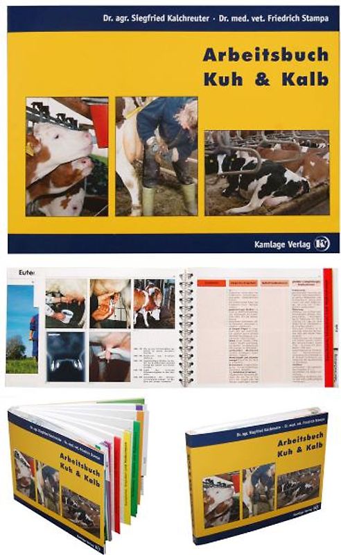 Arbeitsbuch Kuh & Kalb