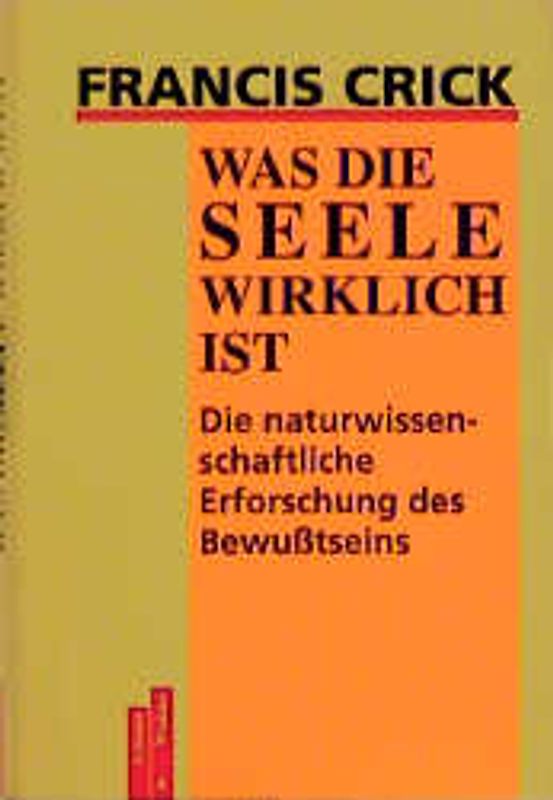 Was die Seele wirklich ist