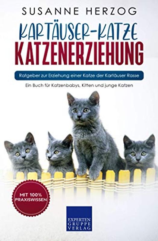 Kartäuser-Katze Katzenerziehung - Ratgeber zur Erziehung einer Katze der Kartäuser Rasse: Ein Buch für Katzenbabys, Kitten und junge Katzen