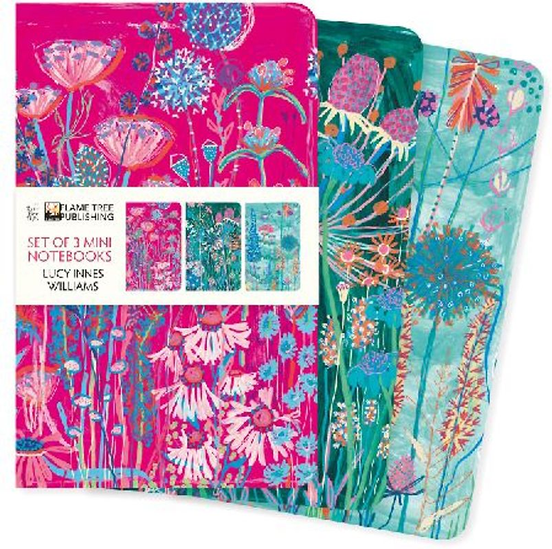 Lucy Innes Williams Set of 3 Mini Notebooks