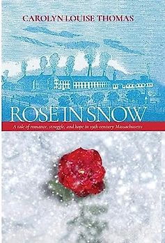 Rose in Snow