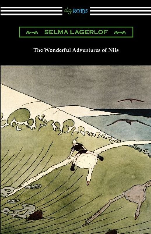 The Wonderful Adventures of Nils