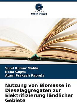 Nutzung von Biomasse in Dieselaggregaten zur Elektrifizierung ländlicher Gebiete