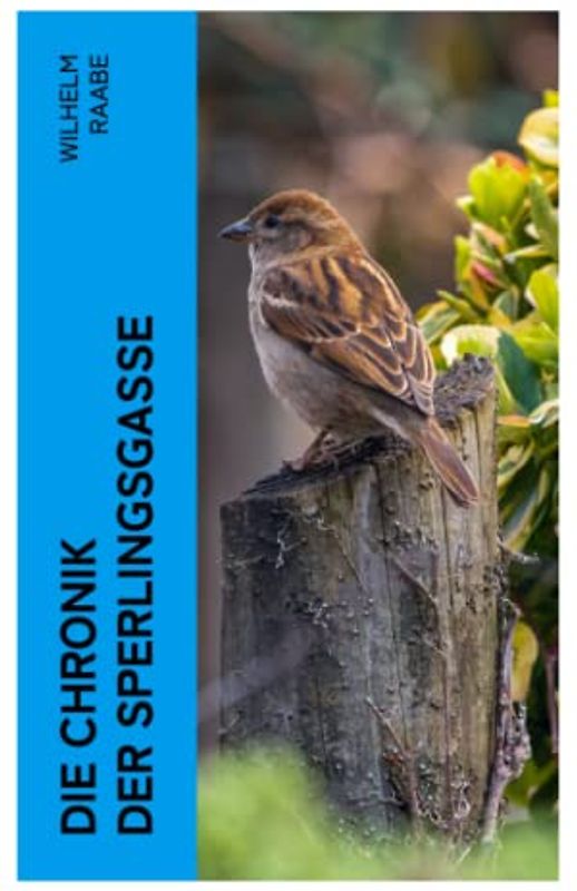 Die Chronik der Sperlingsgasse