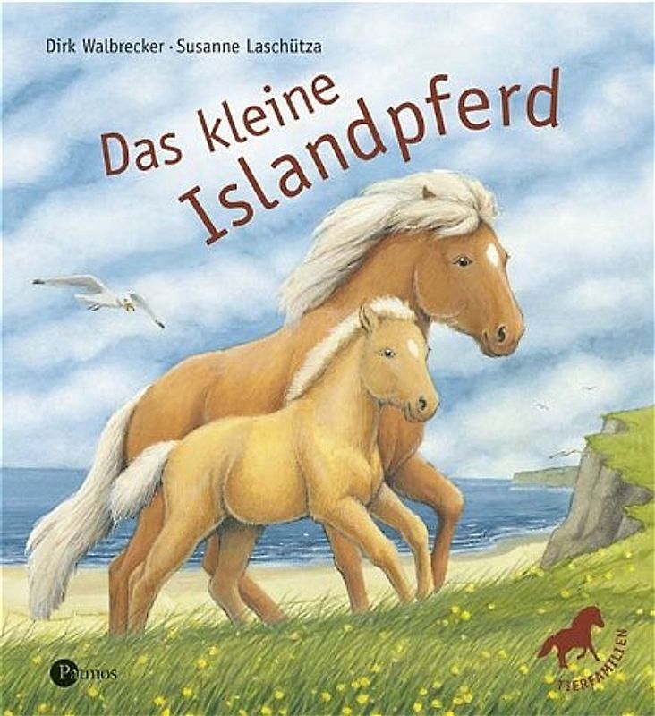 Das kleine Islandpony