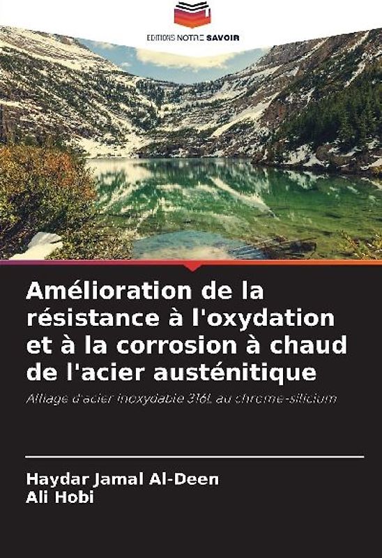 Amélioration de la résistance à l'oxydation et à la corrosion à chaud de l'acier austénitique
