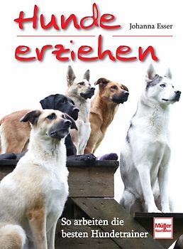 Hunde erziehen