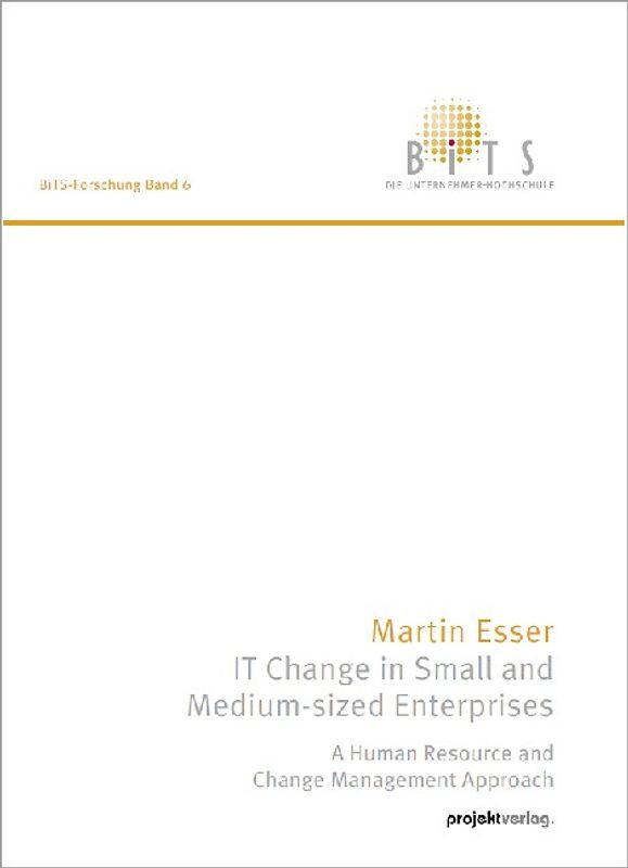 IT Change in Small and Medium-sized Enterprises