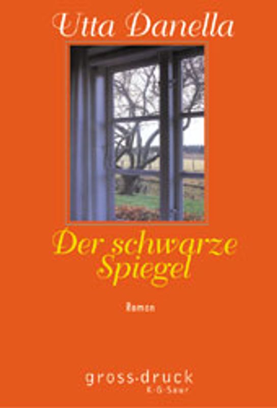 Der schwarze Spiegel. Roman