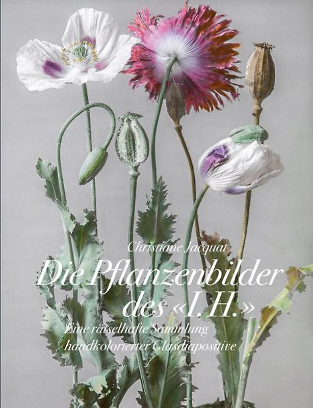 Die Pflanzenbilder des »I. H.«