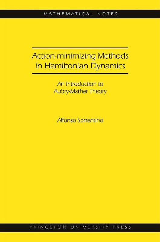 Action-Minimizing Methods in Hamiltonian Dynamics