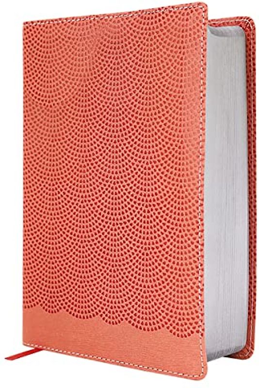 NIrV, Giant Print Compact Bible, Leathersoft, Peach, Comfort Print: New International Reader's Version, Peach, Giant Print Compact Bible for Boys, Leathersoft, Comfort Print