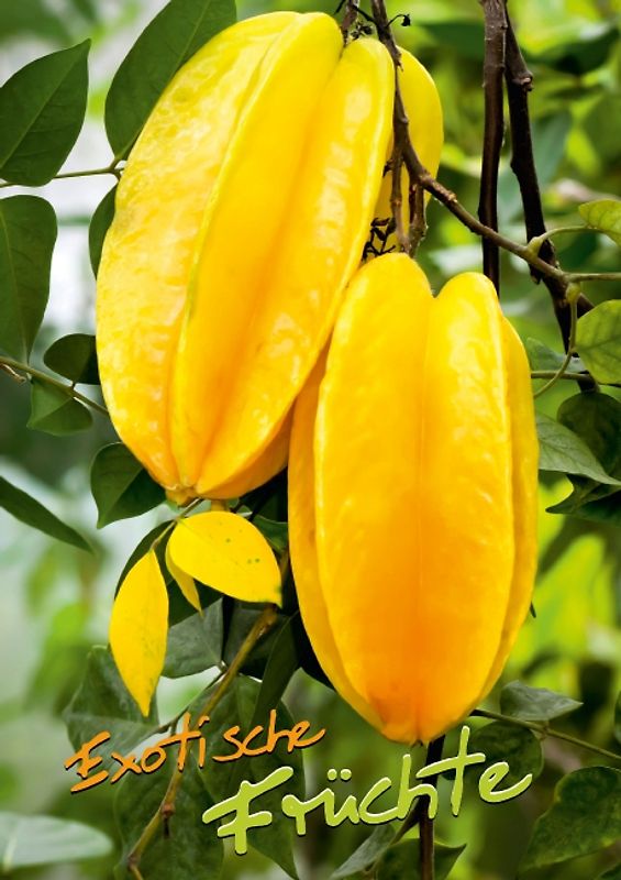 Exotische Früchte (Posterbuch DIN A3 hoch)