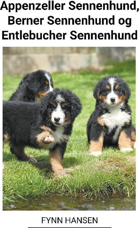 Appenzeller Sennenhund, Berner Sennenhund og Entlebucher Sennenhund