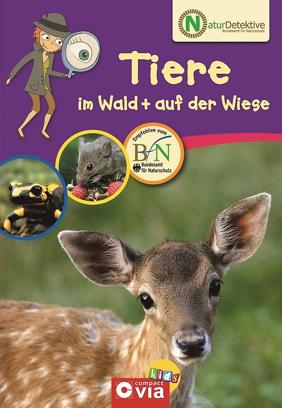 Tiere im Wald & auf der Wiese