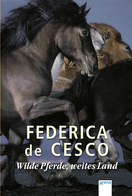 Wilde Pferde, weites Land