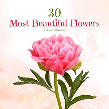 30 Most Beautiful Flowers: A Journey Through the World's Most Stunning Flowers