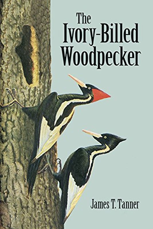 The Ivory-Billed Woodpecker (Dover Birds)