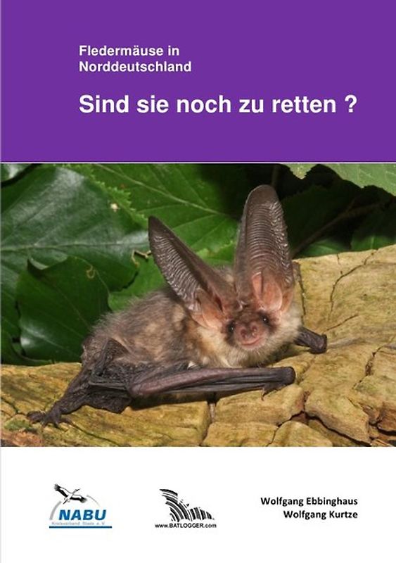 Fledermäuse in Norddeutschland