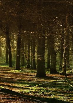 Geschichten oder Wahrheiten