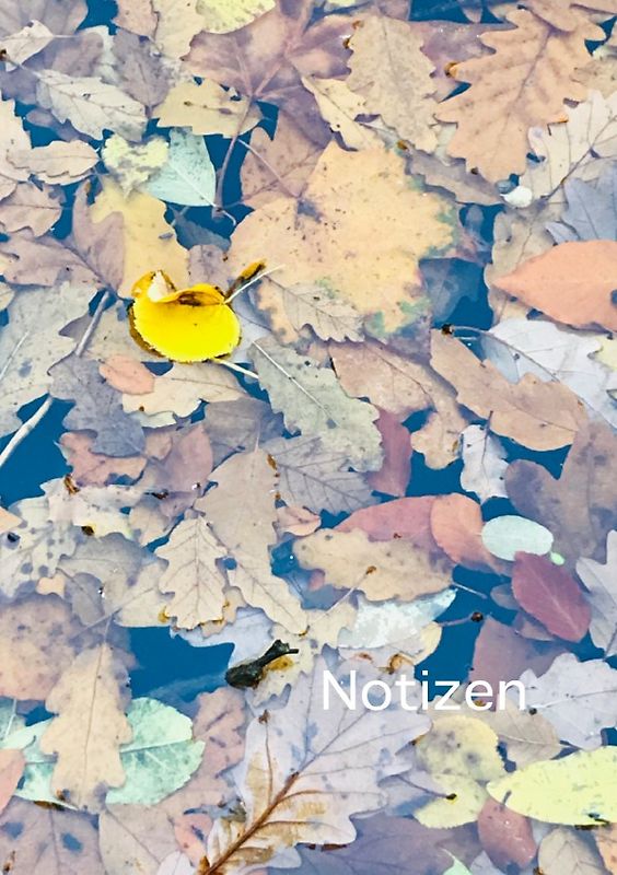 Notizen