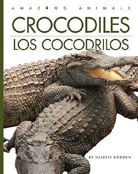 Crocodiles / Los Cocodrilos