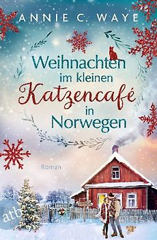 Weihnachten im kleinen Katzencafé in Norwegen