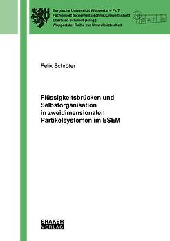 Flüssigkeitsbrücken und Selbstorganisation in zweidimensionalen Partikelsystemen im ESEM