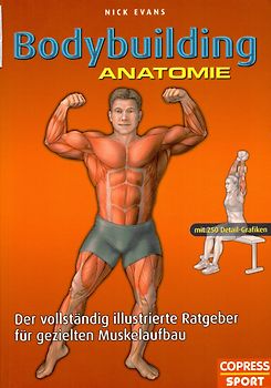 Bodybuilding Anatomie