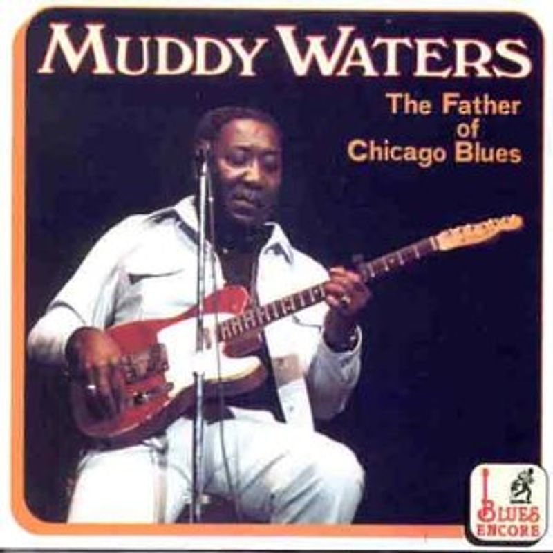 Muddy Waters - Father of Chicago Blues