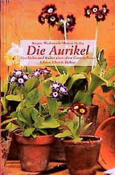 Die Aurikel