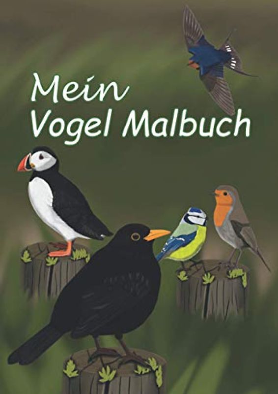 Mein Vogel Malbuch: Entdecke die Vielfalt unserer Gartenvögel, Schöne Vogelmotive zum Ansehen und Ausmalen für Kinder im A4 Format