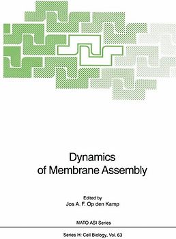 Dynamics of Membrane Assembly