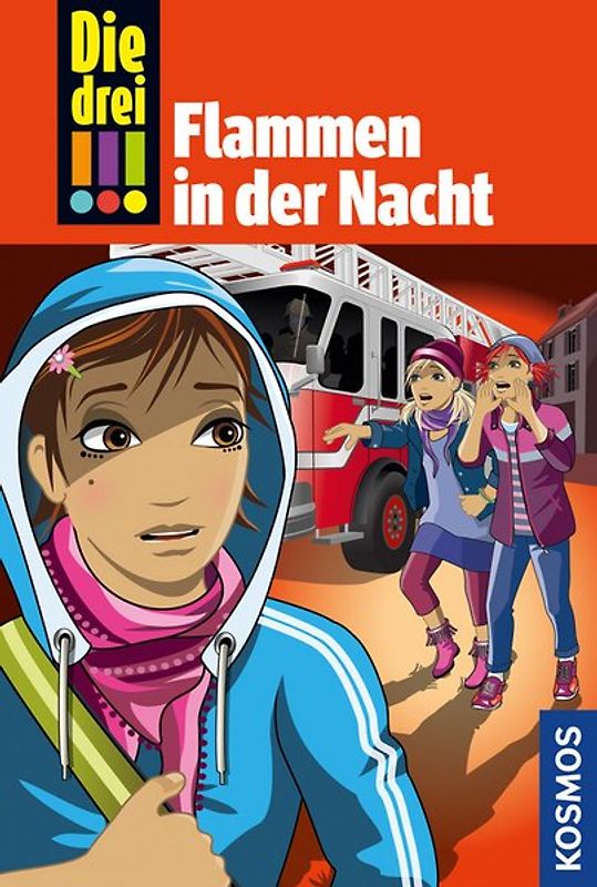 Die drei !!!, 63, Flammen in der Nacht