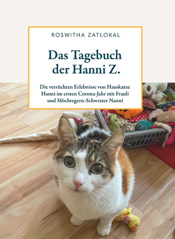 Das Tagebuch der Hanni Z.