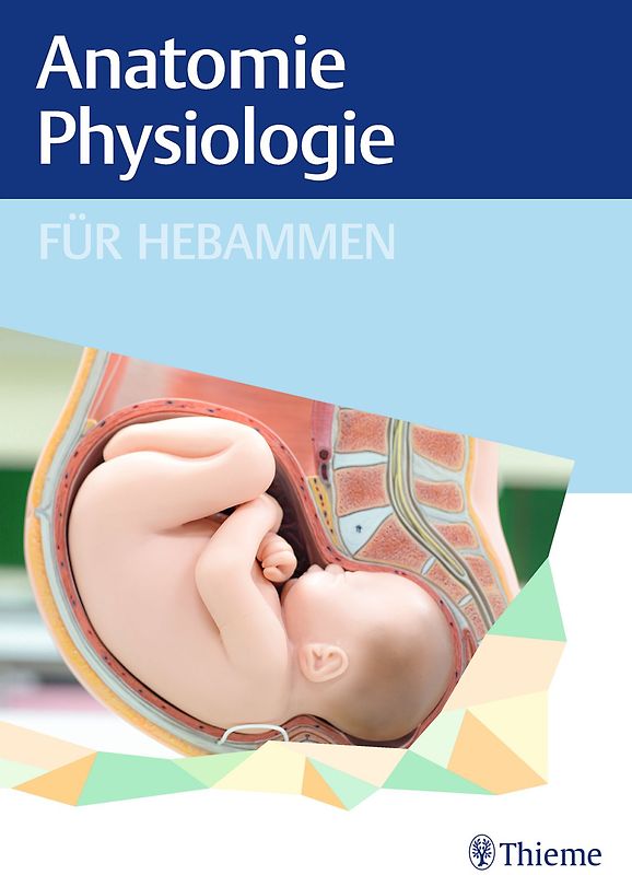 Anatomie und Physiologie für Hebammen