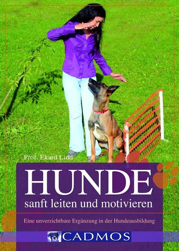 Hunde sanft leiten und motivieren