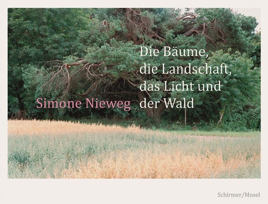 Die Bäume, die Landschaft, das Licht und der Wald