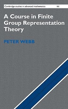 A Course in Finite Group Representation Theory (Cambridge Studies in Advanced Mathematics, Band 161)