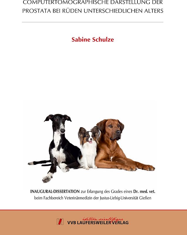 Computertomographische Darstellung der Prostata bei Rüden unterschiedlichen Alters
