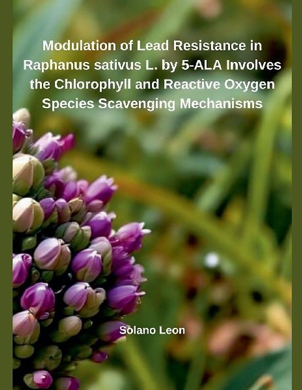 Modulation of Heavy Metal Resistance in Raphanus sativus L. by 5-ALA Involves the Chlorophyll and Reactive Oxygen Species Scavenging Mechanisms