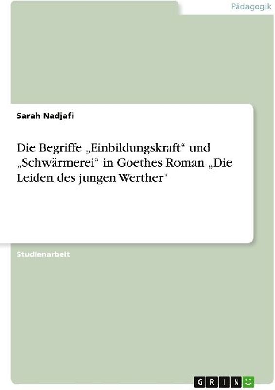 Die Begriffe "Einbildungskraft" und "Schwärmerei" in Goethes Roman "Die Leiden des jungen Werther"