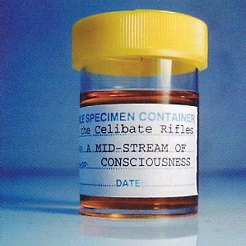 Celibate Rifles - A Mid-Stream of Consciousness