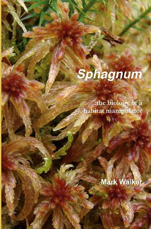 Sphagnum