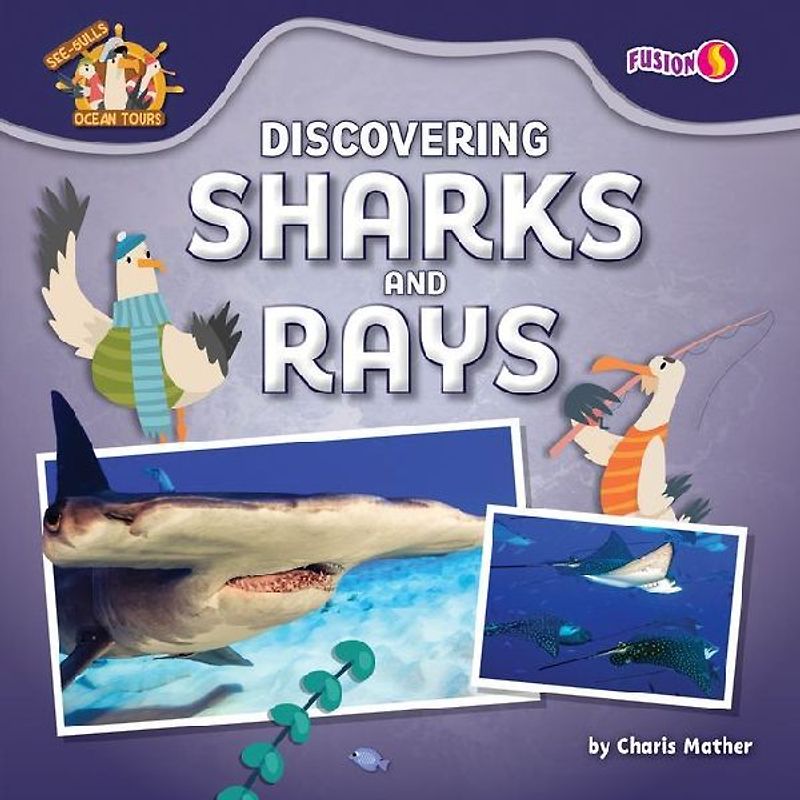 Discovering Sharks and Rays